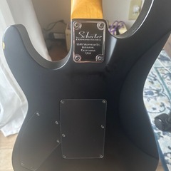 エレキギター
Schecter Damien FR-6 Diamond Seriesの画像