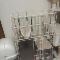 キャットゲージの画像