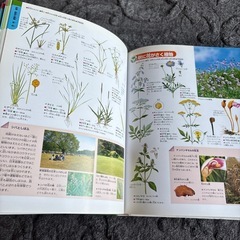学研の図鑑　植物の画像