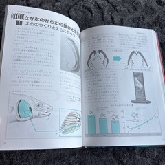学研の図鑑　魚の画像