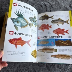 学研の図鑑　魚の画像