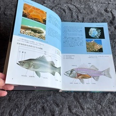 学研の図鑑　魚の画像