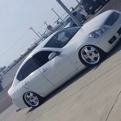 Amistad Grace 19インチの画像