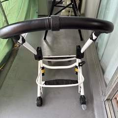 ペットカートピッコロカーネタント3フレーム
の画像