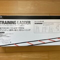 トレーニングラダー　TIGORA　4m×２本（連結8ｍ）の画像