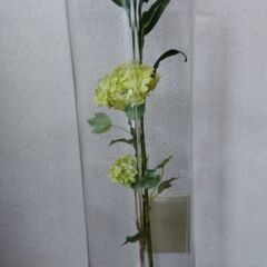 クリア角型ガラス花瓶の画像
