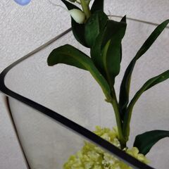 クリア角型ガラス花瓶の画像
