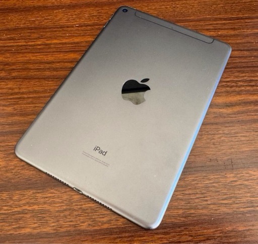 SIMフリーiPad mini 第5世代 256GB Cellularモデル