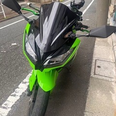 【フルカスタム】カワサキ Ninja250 吉村マフラー・リズライザー・チューンサス 完成車の画像