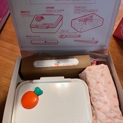 (決まりました🌞)新品未開封！セサミランド　ピクニックセット　5箱の画像