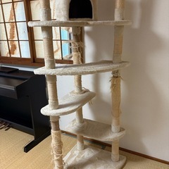 キャットタワーの画像