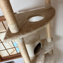 キャットタワーの画像