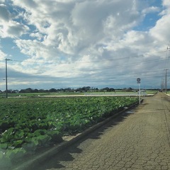 可動棚　支柱2本の画像