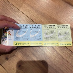 グリーンランド株主優待券の画像