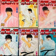 修羅の門　全31巻(完結)の画像