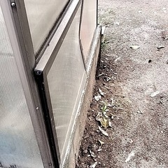 温室　小屋　　の画像
