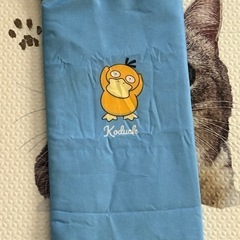 コダック　ペットボトルケースの画像