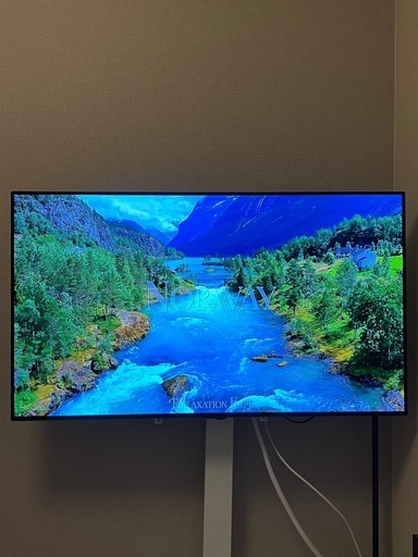 LG有機ELテレビ OLED48C1PJB (48インチ)+テレビスタンドセット