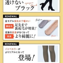【新品】ベルミス　着厚裏起毛タイムの画像