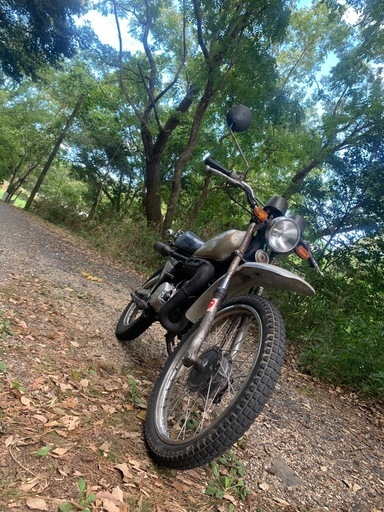 バイク MR50