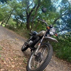 MR50の画像