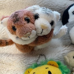 小さめのぬいぐるみセット　熊　トラ　ペンギン　ライオンくんの画像