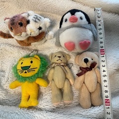 小さめのぬいぐるみセット　熊　トラ　ペンギン　ライオンくんの画像