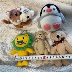 小さめのぬいぐるみセット　熊　トラ　ペンギン　ライオンくんの画像