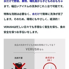 VERUSH  食材洗浄機の画像