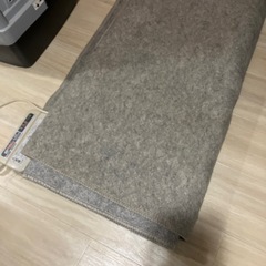 ホットカーペットの画像