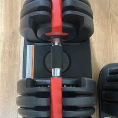 可変式ダンベル、インクラインベンチセットの画像