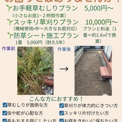 草刈り🌱草むしり