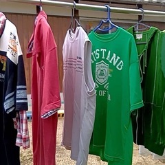 大きい古着、パーカー、ポロシャツの画像