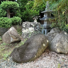庭木　庭石の画像