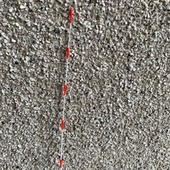筏竿の画像