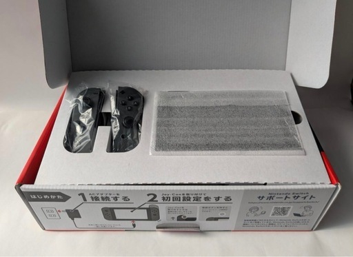 Nintendo Switch グレー HAD-S-KAAAA　 ヒューマンフォールフラットソフト