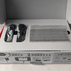 Nintendo Switch グレー HAD-S-KAAAA　 ヒューマンフォールフラットソフトの画像