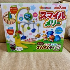 メリーの画像