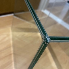 水槽熱帯魚セットの画像