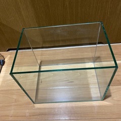 水槽熱帯魚セットの画像