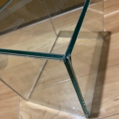 水槽熱帯魚セットの画像