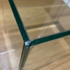 水槽熱帯魚セットの画像