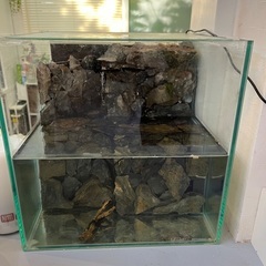 水槽の画像