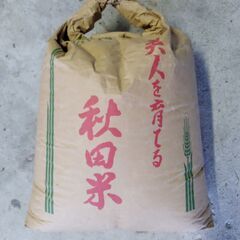 古い小麦　鶏のエサ　動物のエサの画像