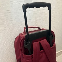 DANLOP ダンロップ　2wayバッグ　キャリーバッグの画像