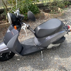 TODAY AF61 ４サイクル キャブ車の画像