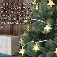 ドイツトウヒ　クリスマスツリー 150cmの画像