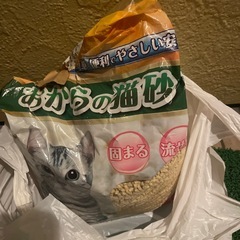 猫砂の画像