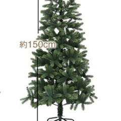 ドイツトウヒ　クリスマスツリー 150cmの画像