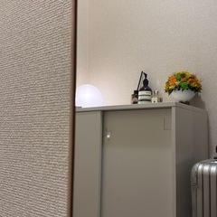 割れない鏡(150x30cm)の画像